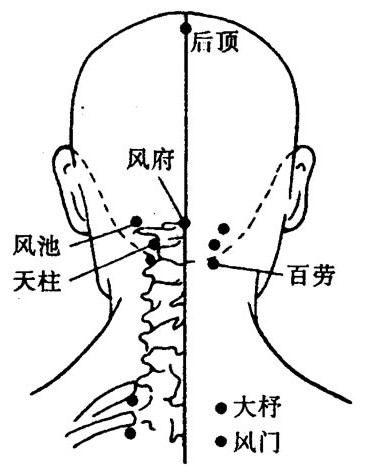 大杼的准确位置图作用图片