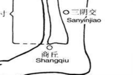 1546090100106209.png 0 (1).png