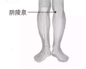 艾灸穴位