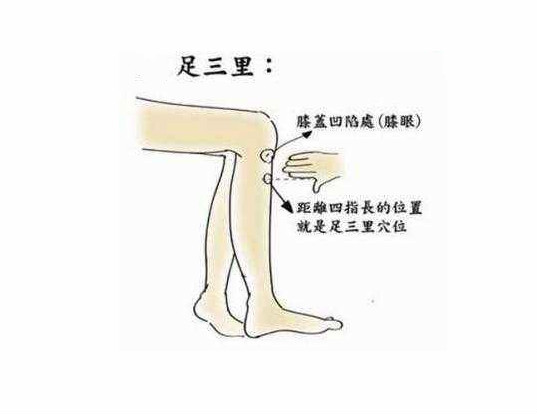 艾灸足三里 艾灸足三里