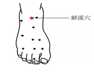 艾灸解溪穴 艾灸解溪穴