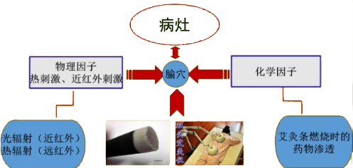 无烟艾条作用机理
