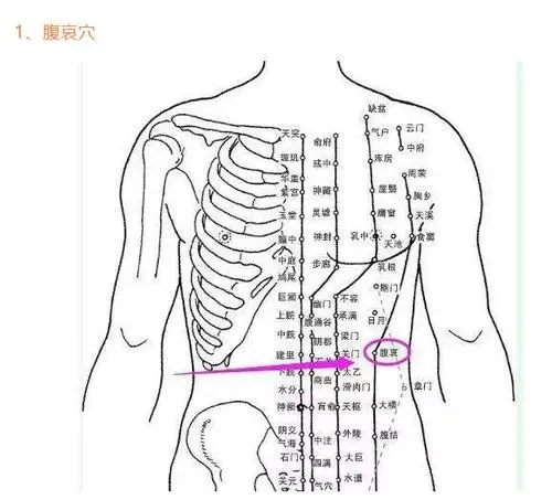 u=1489591365,1401698134&fm=26&fmt=auto.webp.jpg