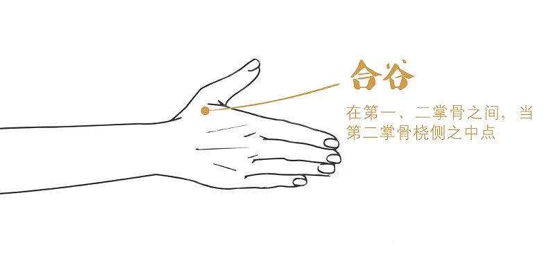 src=http___www.akyy.cn_uploadfile_2020041309422812578.jpg&refer=http___www.akyy.jpg
