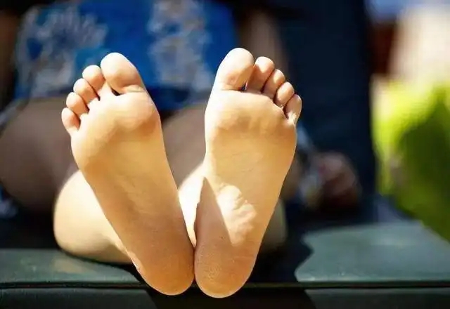 src=http___5b0988e595225.cdn.sohucs.com_q_70,c_zoom,w_640_images_20200204_58539c07b9934f04ac83869aa3285fe9.jpeg&refer=http___5b0988e595225.cdn.sohucs.webp.jpg