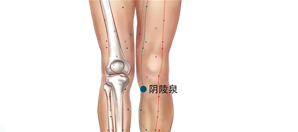 src=http___img.xjlz365.com_jingluo_img_list_2018082113267788.jpg&refer=http___img.xjlz365.webp.jpg