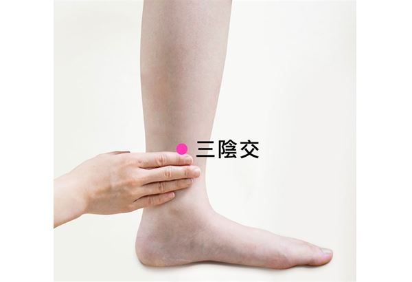 三阴交穴.jpg