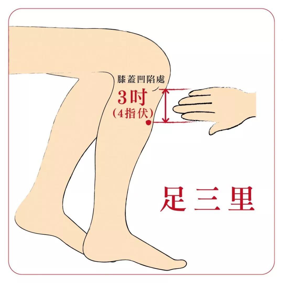 足三里.jpeg