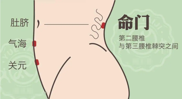 命门穴.png