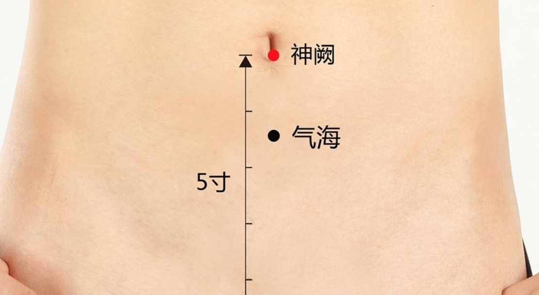 神阙穴.png